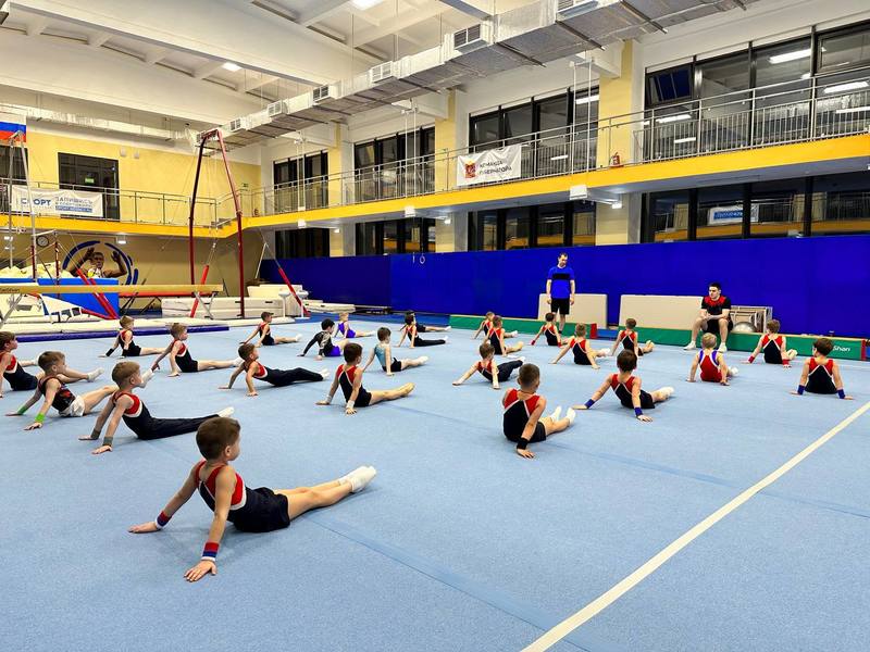 Наро-Фоминские спортивные гимнасты готовятся к окружным соревнованиям